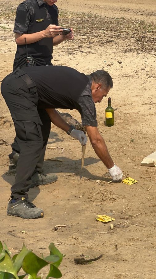 Congreso TRIAJE,colaboracion