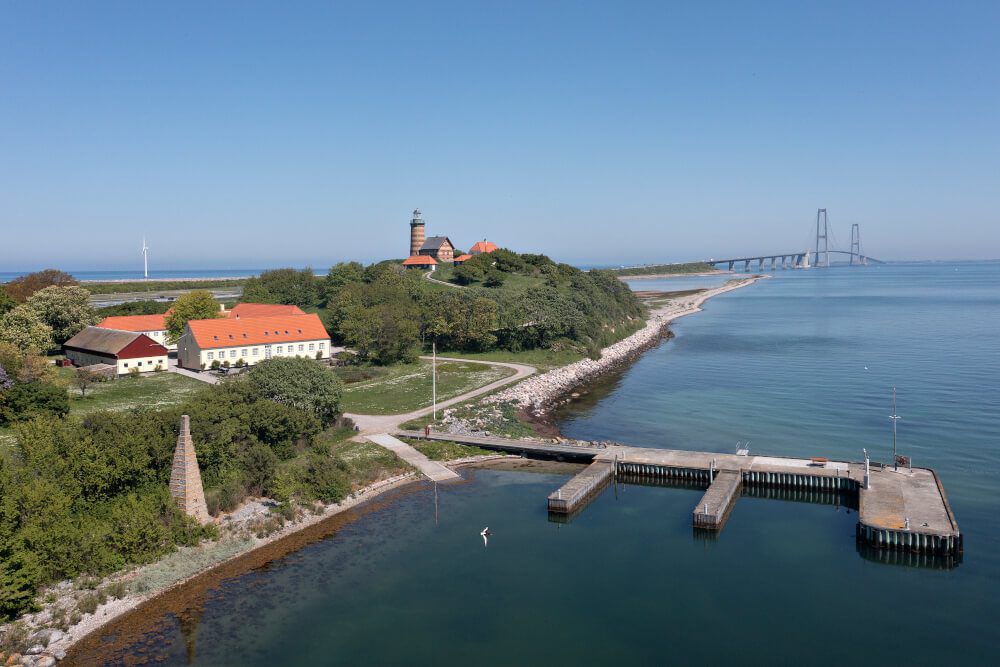 LA TRISTE HISTORIA EN PALABRAS